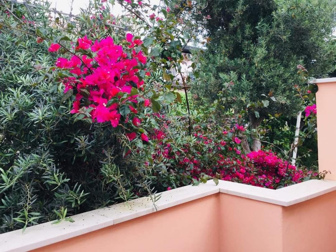 B & B Jasmine Santa Teresa Di Riva Dış mekan fotoğraf